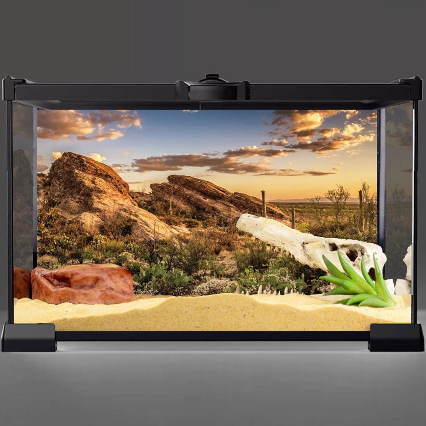 AWERT Reptile Habitat Background Blue Sky Oasis Cactus Sun and Desert Terrarium Background 48x20 inches Durable Polyester Background
