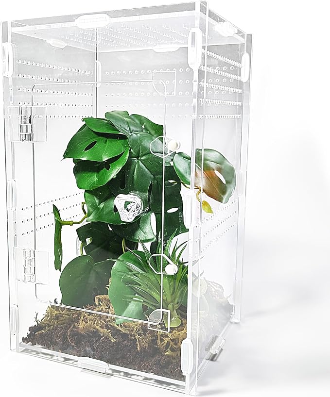 Acrylic Jumping Spider Enclosure Large 6”x6”x10” with Front Door, Arboreal Tarantula Enclosure, Praying Mantis Habitat for Spider, Mantis, Snail, Tarantula, Isopods, Beetles, Millipedes