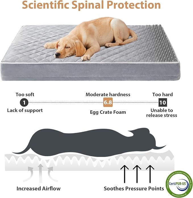 WNPETHOME Orthopedic Waterproof Dog Bed Medium for Comfy Sleeping | Washable Medium Pet Bed with Removable Cover, Multi-Needle Quilting Dogs Crate Bed Light Grey 30x20 Inch