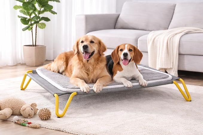 Elevated Dog Bed with Removable Cushion, Cooling Raised Pet Cot, Breathable Mesh Dog Bed, Washable Soft Mat, Durable Metal Frame, Indoor Outdoor Raised Pet Bed for Small Medium Dogs