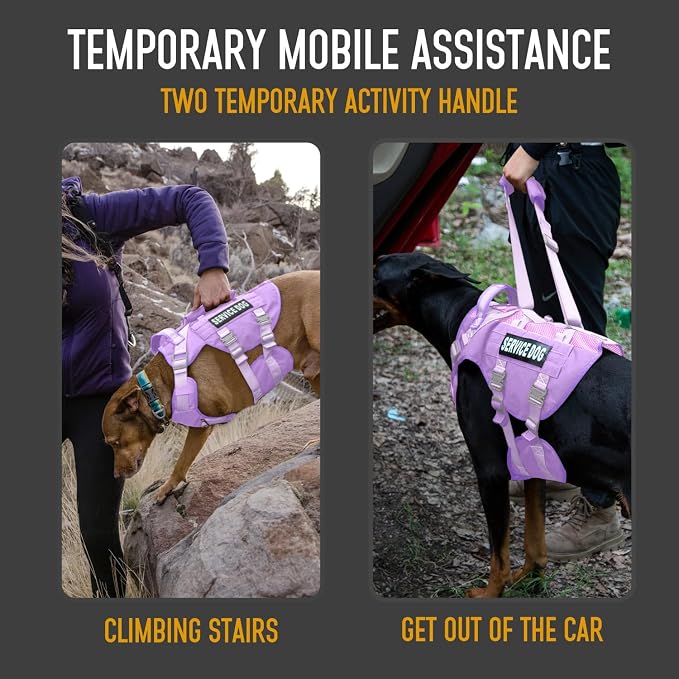 Service Dog Vest for Large Dogs, Purple Tactical Harness with Military MOLLE, Breathable Mesh & 39g Metal Buckle - Size L for Training & Hiking