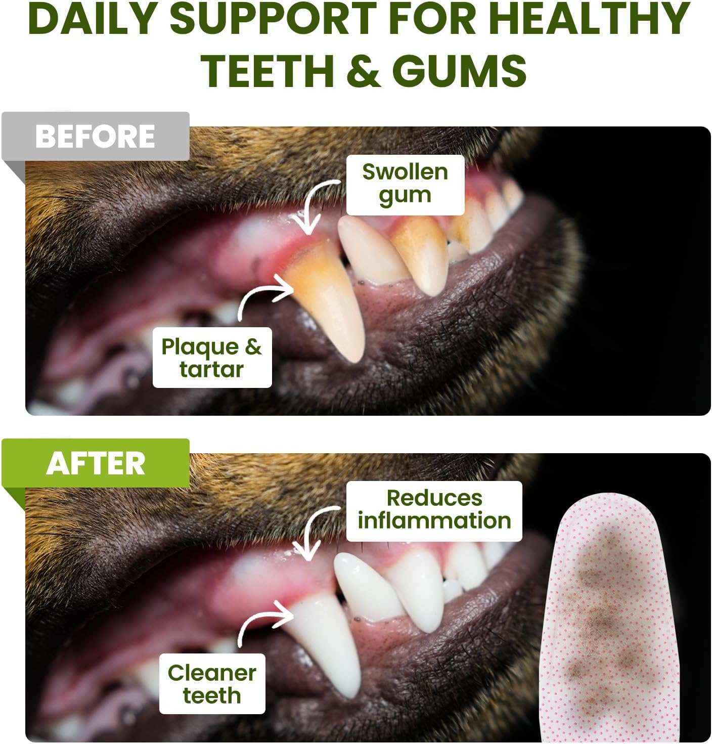 Dog Teeth Cleaning Wipes, Fresh Breath Pet Dental Finger Wipes for Dogs & Cats, Dog Dental Wipes Teeth Wipes, Lick-Safe Pet Toothbrus for Easy Removal of Tartar Buildup, Unscented, 50 PCS