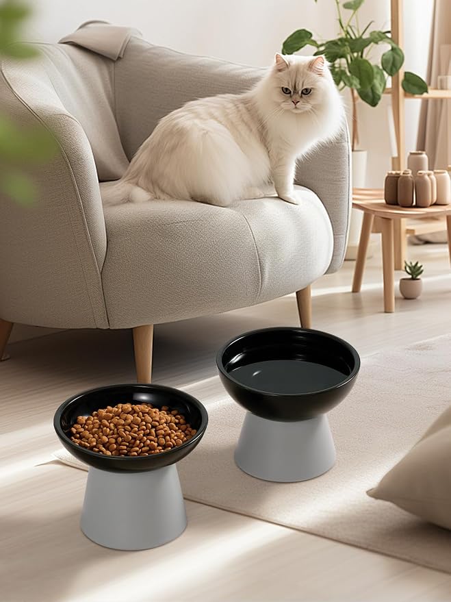 LoeJan Elevated Cat Food and Water Bowls Set, Extra Wide and Raised Ceramic Feeder, Anti-Vomit Whisker-Free Pressure Feeding Bowl for Kittens Adult Small Dogs(Black, 2 Pack)