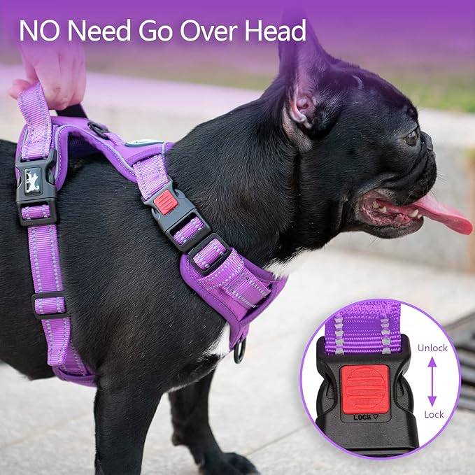 PoyPet No Pull Dog Harness, Reflective Vest with 2 Leash Clips & Handle | Lockable Neck Release Buckle, No Choke, Adjustable, Soft Padded, for Walking Training, Purple Matching Trim, Large