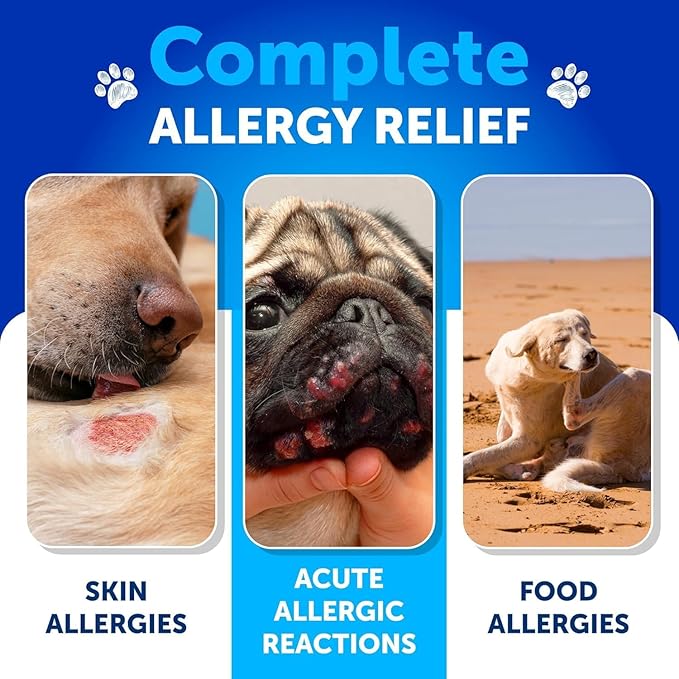 Dog Allergy Relief Chews - Itching Skin Relief for Dogs - 180 Soft Treats - Fish Oil - Omega 3 - Seasonal Allergies Pills - Skin & Coat, Anti Itch,Hot Spots Treatment - Canine Immune Health Supplement