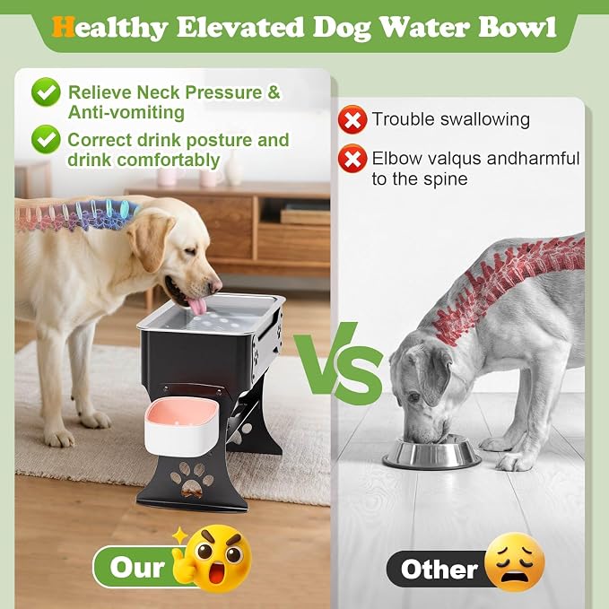 1.5 Gallon Elevated Large Dog Water Bowl, 2 Height Adjustable Stainless Steel Raised Dog Water Bowl Stand for Large Breed, Metal Pet Bowl Stand for Relief Joint Pressure, Easy Clean (Black)