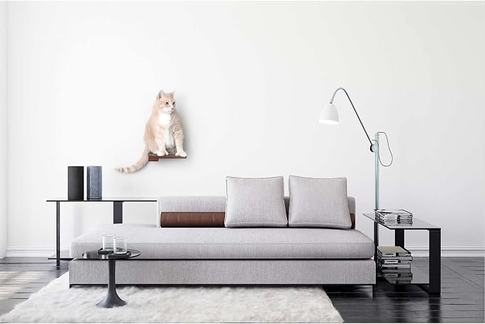 Catastrophic Creations Wooden Cat Step Floating Shelf (English Chestnut Bamboo)— Cat Wall Furniture For Indoor Cat — Platform Climber Wooden Cat Shelves —Playing & Jumping — Cat Wall Shelves
