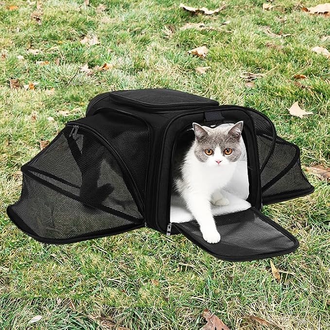 Expandable Cat Carrier Pet Carrier with 2 Extensions,Airline Approved Soft-Sided Portable Dog Travel Washable Carrier for Kittens,Puppies,Removable Soft Plush Mat (Black, Medium)