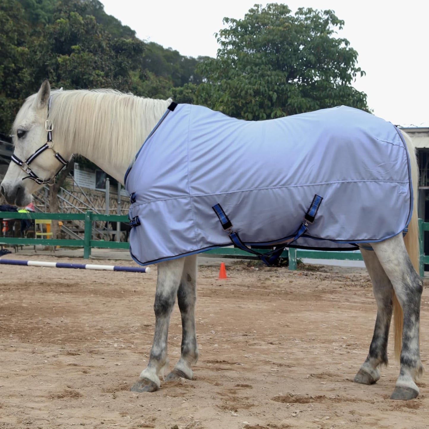Horse Fly Sheet, Standard Neck Comfy Mesh Fly Sheet for Horses, Equine Summer Sheets UV-Protective Lightblue 84