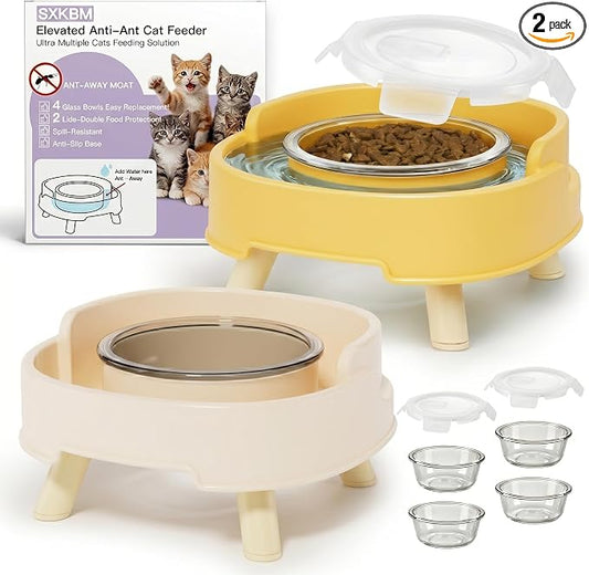 2 Pack Ant Not Cross Elevated Cat Bowls Mess Proof-4 Food Grade Glass Bowls & 2 Lids- No Spill Cat Food and Water Feeding Station for Cats&Puppy Indoor & Outdoor,No Whisker Fatigue Dish