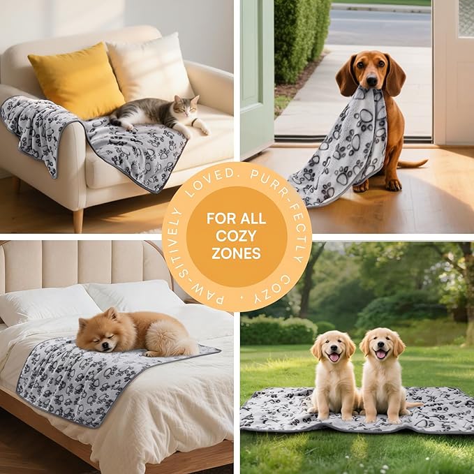 Luciphia 1 Pack 6 Dog Blankets Cat Soft Fluffy Fleece Pet Blanket Warm Cute Print Design Puppy Kitten Doggy Paw Grey Large(41"x31")