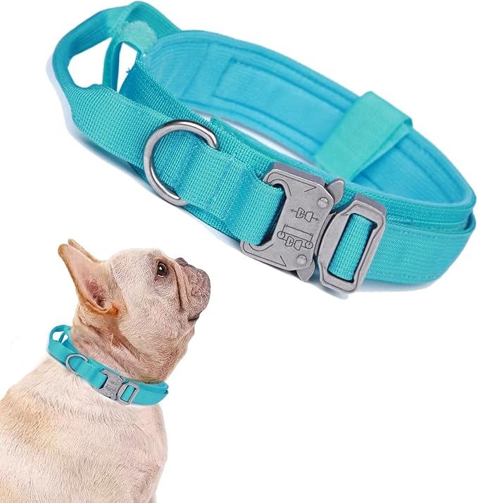 Tactical Dog Collar for Large Dogs with Control Handle,Blue,S | 1000D Heavy-Duty Nylon Fabric,Quick-Release Metal Buckle,Adjustable Fit,Soft-Padded Webbing,D-Ring,for Training & Hiking
