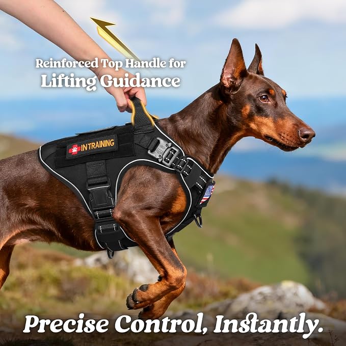 rabbitgoo Tactical Dog Harness for Small, Heavy Duty Military No Pull Vest | Sturdy Metal Buckles, 5 Adjustments, Molle System, Powerful Pullers for Training, Hunting, Outdoor, Black Reflex, Small