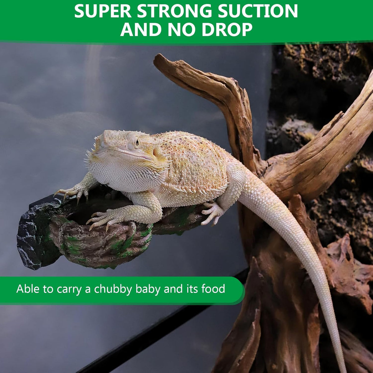 Magnetic Reptile Feeding Ledge, Gecko Feeder Ledge with One Piece Cup, Hollow Vine Food Dish, Reptile Water Bowl for Bearded Dragon Lizard Snake