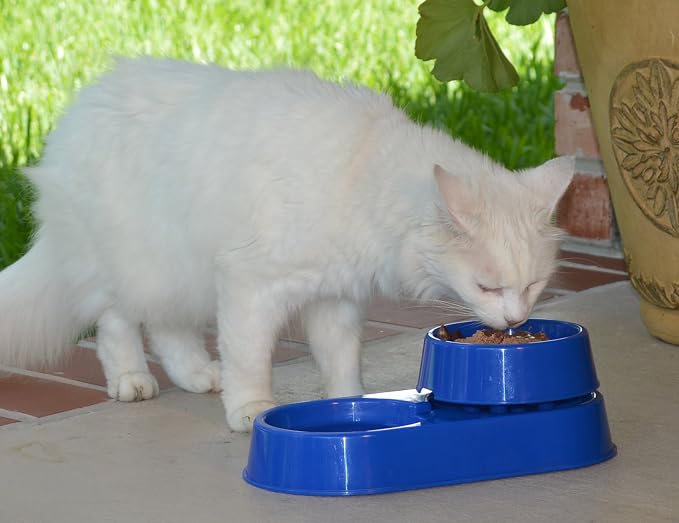 The 3-in-1 Ant Free Pet Dish (Small Blue)