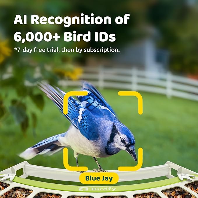 Birdfy Smart Bird Feeder with Camera, Durable Metal Bird Feeders for Outdoors, Auto-Detect & Record HD Videos, Instant Alerts & Live View, Solar Powered, Weatherproof for Backyard, Ideal Gift for Mom