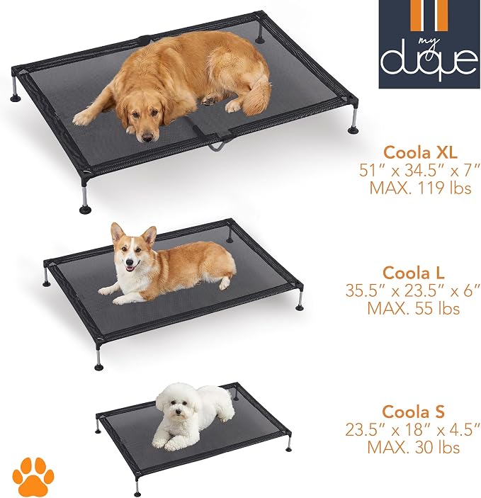 COOLA Pet Bed - Large - Black, 35.5 x 23.5 Dog Lounger, Breathable Mesh Fabric, Elevated Structure for Joints, Steel Frame, Animal 55lb Cap