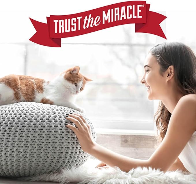 Nature's Miracle Advanced Platinum Stain and Odor Remover and Virus Disinfectant 32 Ounces, Eliminates Tough Dog Messes (Pack of 2)