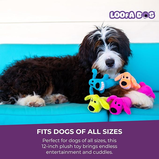 Multipet Original Loofa Dog Plush Toy - Squeaky Toy for All Dogs - Extra Soft Plush - Stuffed Animal Dog Toys for Playing - Cute Dog Pet Toy (1 Count, 12”, Random Color Surprise)