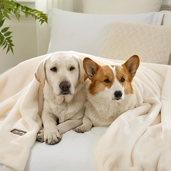 Luxury Faux Fur Throw Blanket Twin, Ultra Soft Waterproof Pet Blanket, Cozy Warm Plush Blanket for Bed Sofa Bedroom Living Room, Liquid Pee Proof for Large Dog or Cat, 60x80 inch, Cream