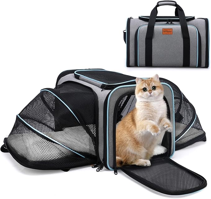 Expandable Airline Approved Pet Carrier, Soft-Sided Travel Bag for Small Cats Dogs with Hard Shell Base, Removable Fleece Pad, Ventilated Mesh, Gray (Blue Trim)
