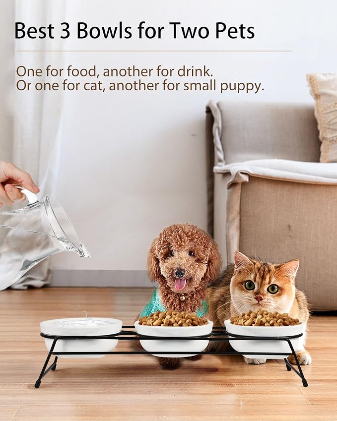 Anti-Vomiting Raised Cat Bowls - 3 × 13 oz Ceramic Food & Water Bowls with Non-Slip Stainless Steel Stand, Dishwasher Safe for Indoor Cats & Puppy
