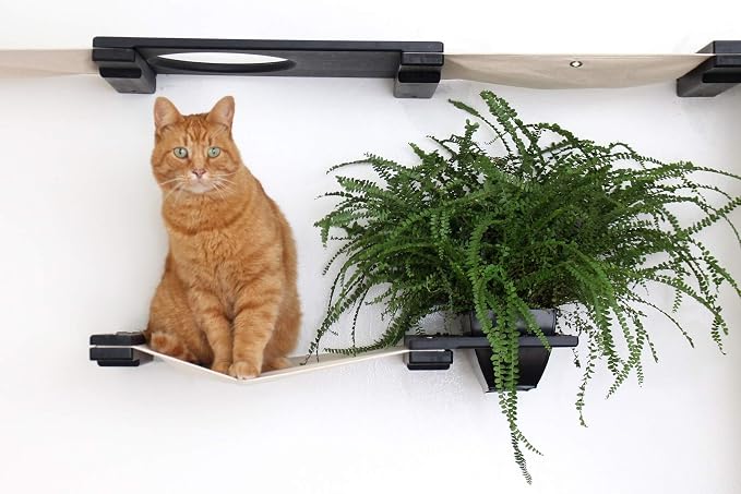 CatastrophiCreations Mini Garden - Multiple-Level Cat Hammock & Climbing Activity Center - Wall-Mounted Cat Tree Shelves, Onyx Bamboo/Natural Canvas, MGD11ONNT