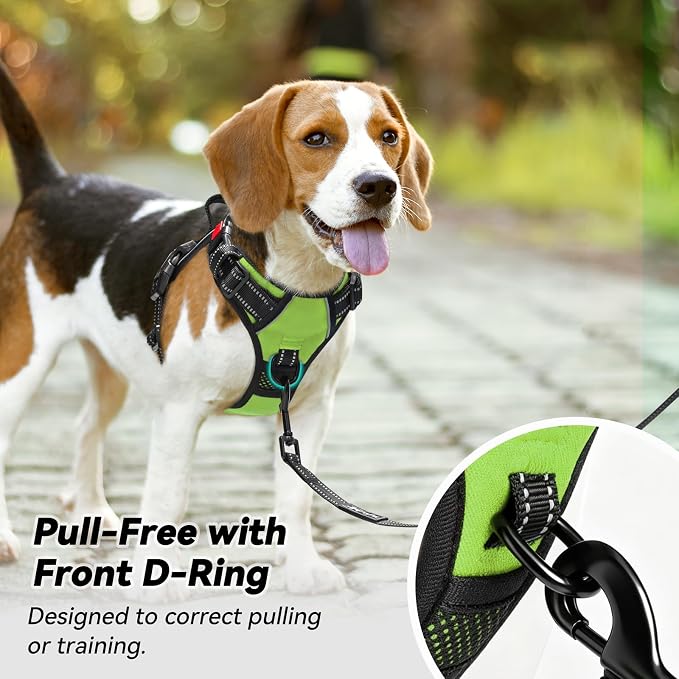 PoyPet No Pull Dog Harness Large with Front Clip & Neck Release Buckle | No Choke, Adjustable Vest, Reflective, Back Clip, Lockable, Soft Padded, Easy Control Handle for Walking Training, XL, Green