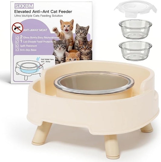 Ant Not Cross Elevated Cat Bowls Mess Proof-2 Food Grade Glass Bowls & 1 Lids- No Spill Cat Food and Water Feeding Station for Cats&Puppy Indoor & Outdoor,No Whisker Fatigue Dish,Beige