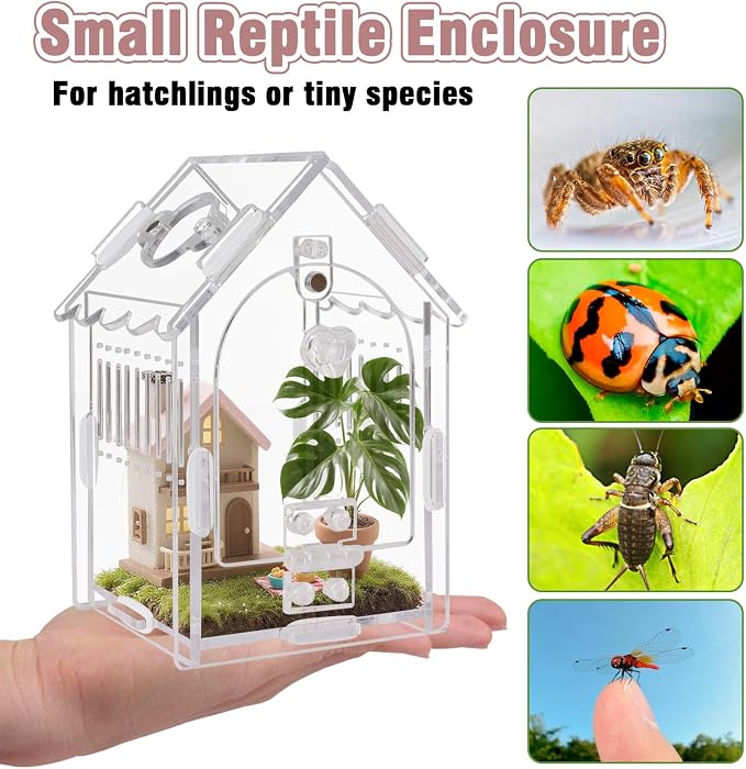 Acrylic Jumping Spider Enclosure 3.15"x3.15"x5.6" – Magnetic Front Opening Terrarium for Tarantulas, Mantis & Small Reptiles | Escape-Proof Habitat with Ventilation & No-Tool Assembly