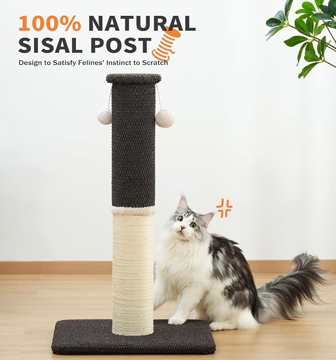 Made4Pets Tall Cat Scratching Post with Sisal & Carpet for Indoor Cats, 33" | Cat Scratcher with Wide Stable Base, Interactive Hanging Toys, Ideal for Adult Cats, Large Breeds and Full-Body Stretching