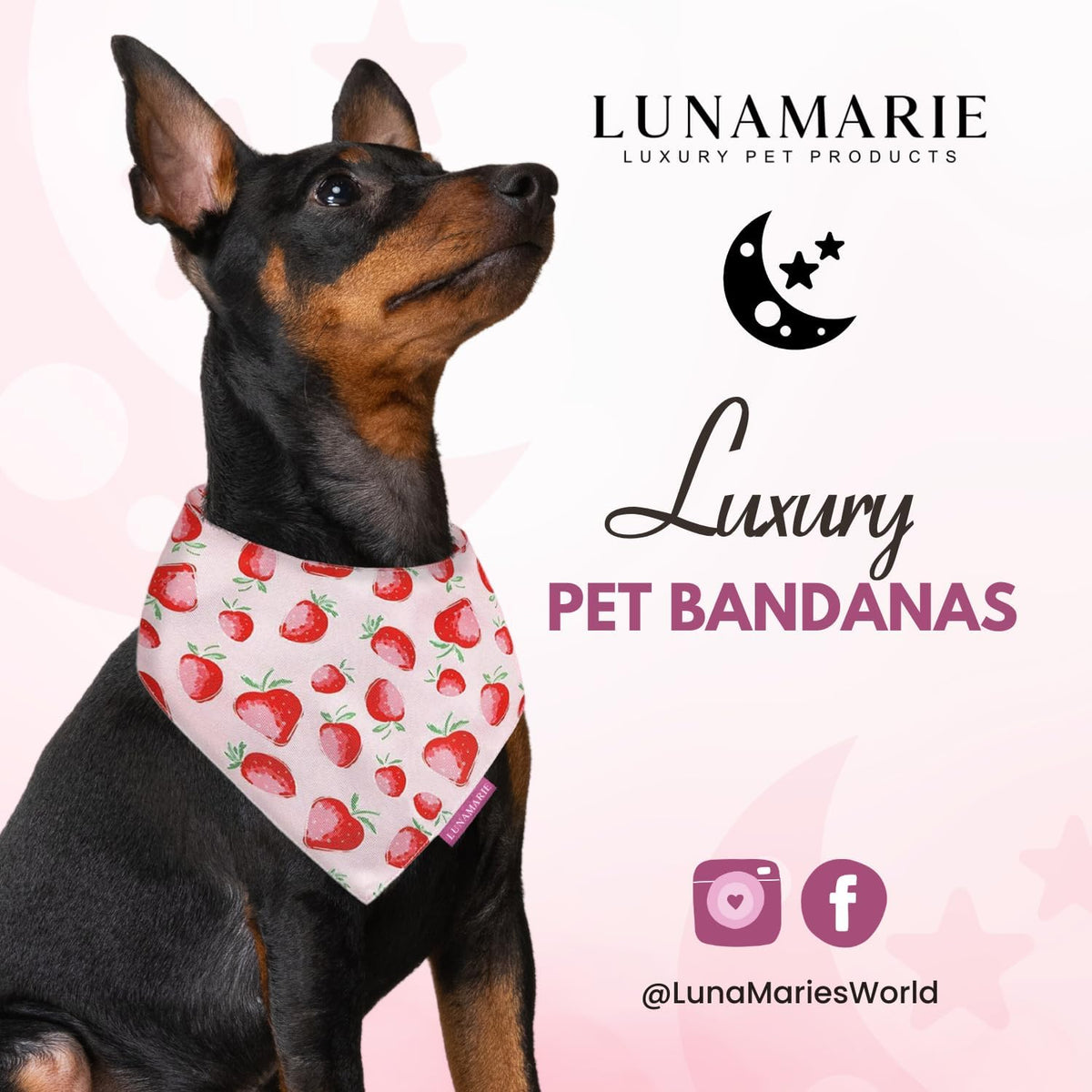 LunaMarie - Luxury Pet Birthday Bandanas -Premium & Silky Poly Fabric | 100% Handmade | Custom Shape Dual Layered (Strawberry, Small)