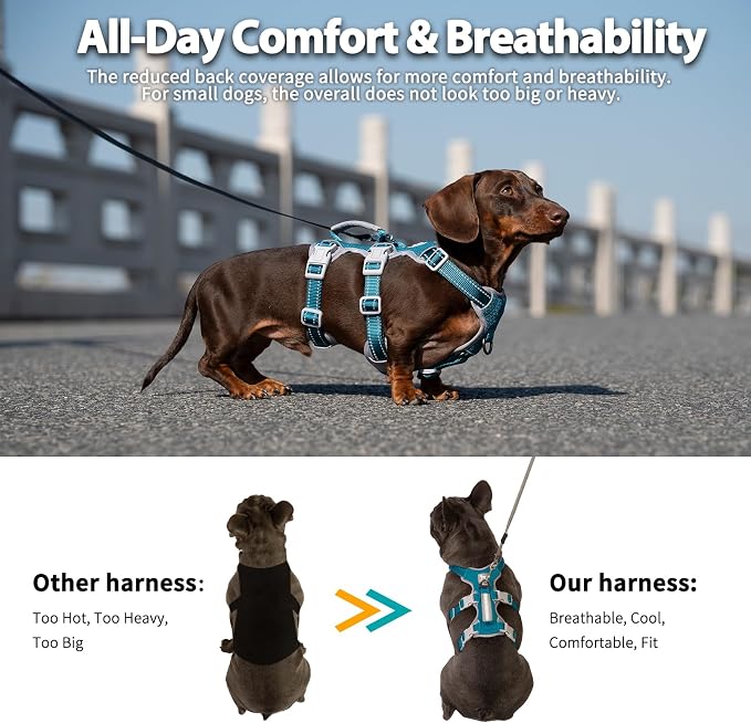 Escape Proof Dog Harness, Escape Artist Harness, Fully Reflective Harness with Padded Handle, Breathable, Durable, Adjustable Vest for Small Dogs Walking, Training, and Running Gear (Teal,S)