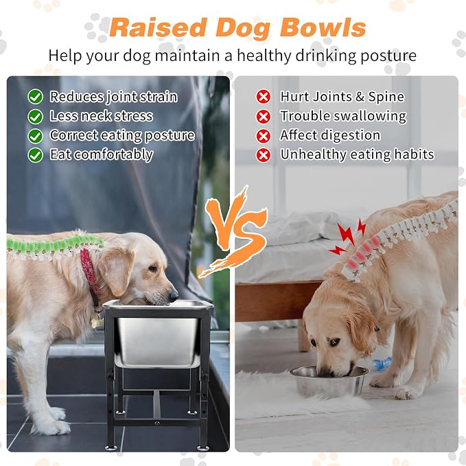 3 Gallon Elevated Dog Water Bowl, Raised Stand for Large Dogs | 4 Adjustable Heights, 9.65-15.16 in Stand, 3 Gallon Bowl, 14 x 10.6 x 5.9 in Size, Indoor Outdoor Use, Easy to Clean