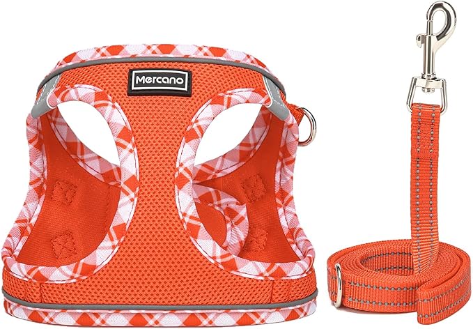 Mercano Soft Mesh Dog Harness and Leash Set, No-Chock Step-in Reflective Breathable Lightweight Easy Walk Vest Harnesses with Safety Buckle for Small Dogs, Cats (Tangerine, M)