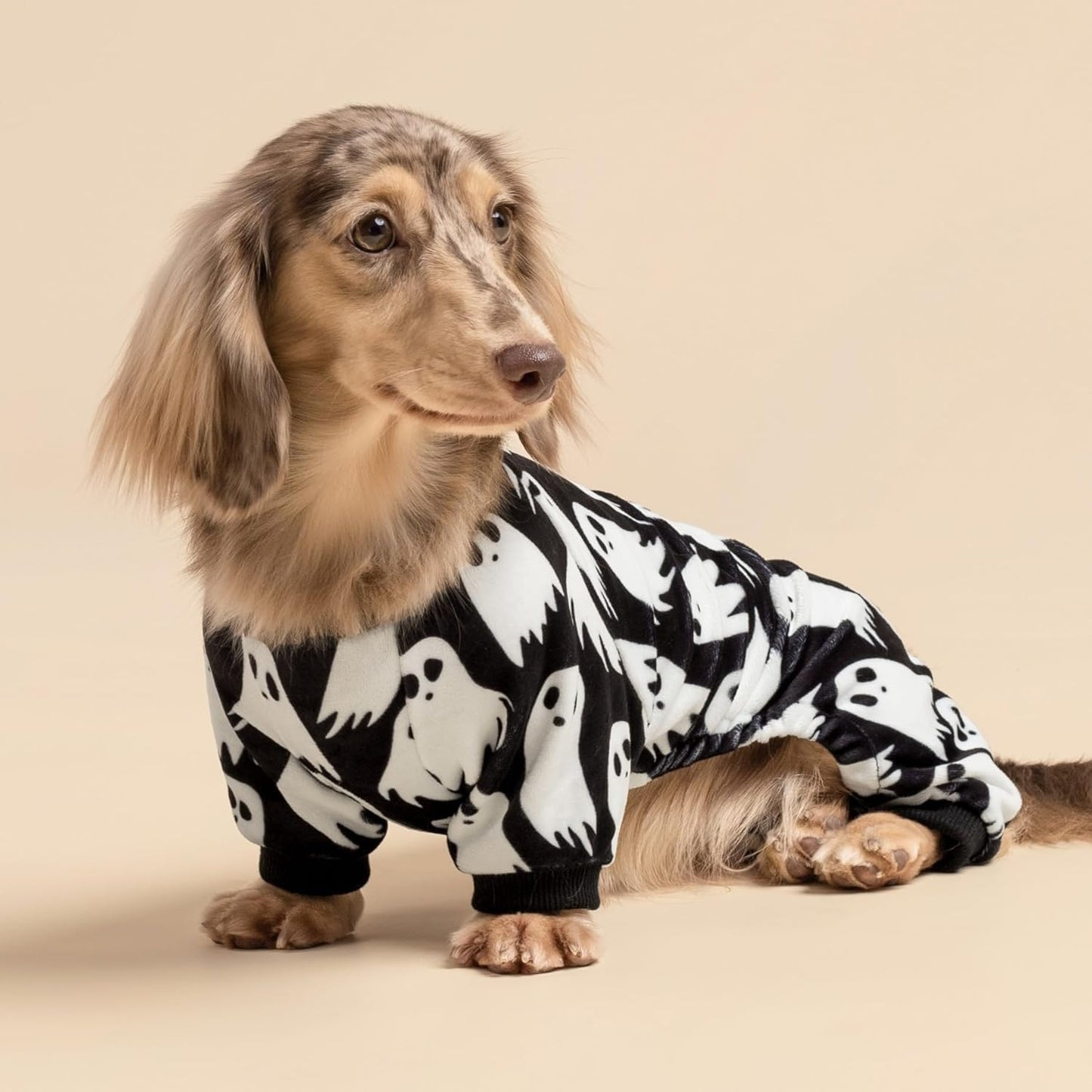 Fitwarm Halloween Ghost Dog Pajamas, Funny Halloween Costumes for Dogs, Fleece Dog Onesie with Feet, Doggy Clothes for Small Dogs Boy Girl, Pet Apparel, Black, White, XS