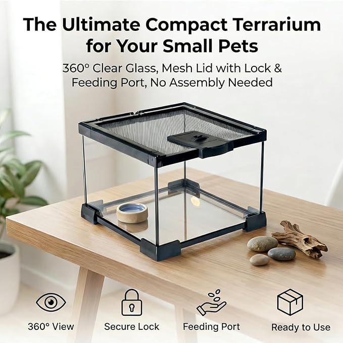 Small Glass Reptile Enclosure: 8x8x6 Full View Tarantula Enclosure | Lockable Sliding Screen Top Glass Terrarium - Insects Breeding Box Small Amphibians Cage for Leopard Gecko Hermit Crab