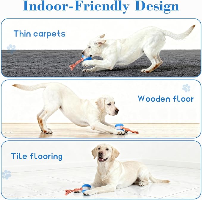Interactive Dog Ball, Random Path Electric Automatic Moving and Rolling Dogs Toy with Rope for Small Medium Large Dogs, Motion-Activated Dog Stimulation Toy for Boredom Relief (Blue)