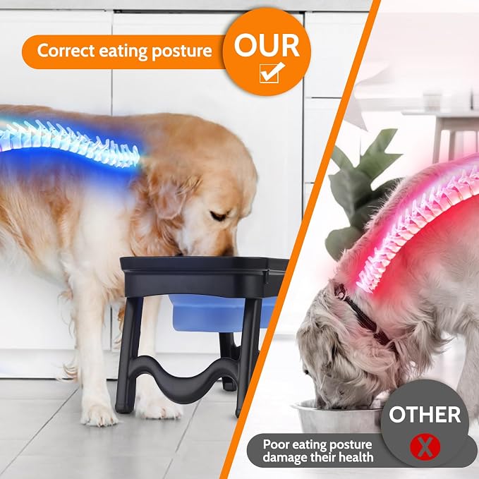 Raised Dog Food Bowl Set, Elevated Silicone Pet Food Bowl with Stand for Dogs and Cats