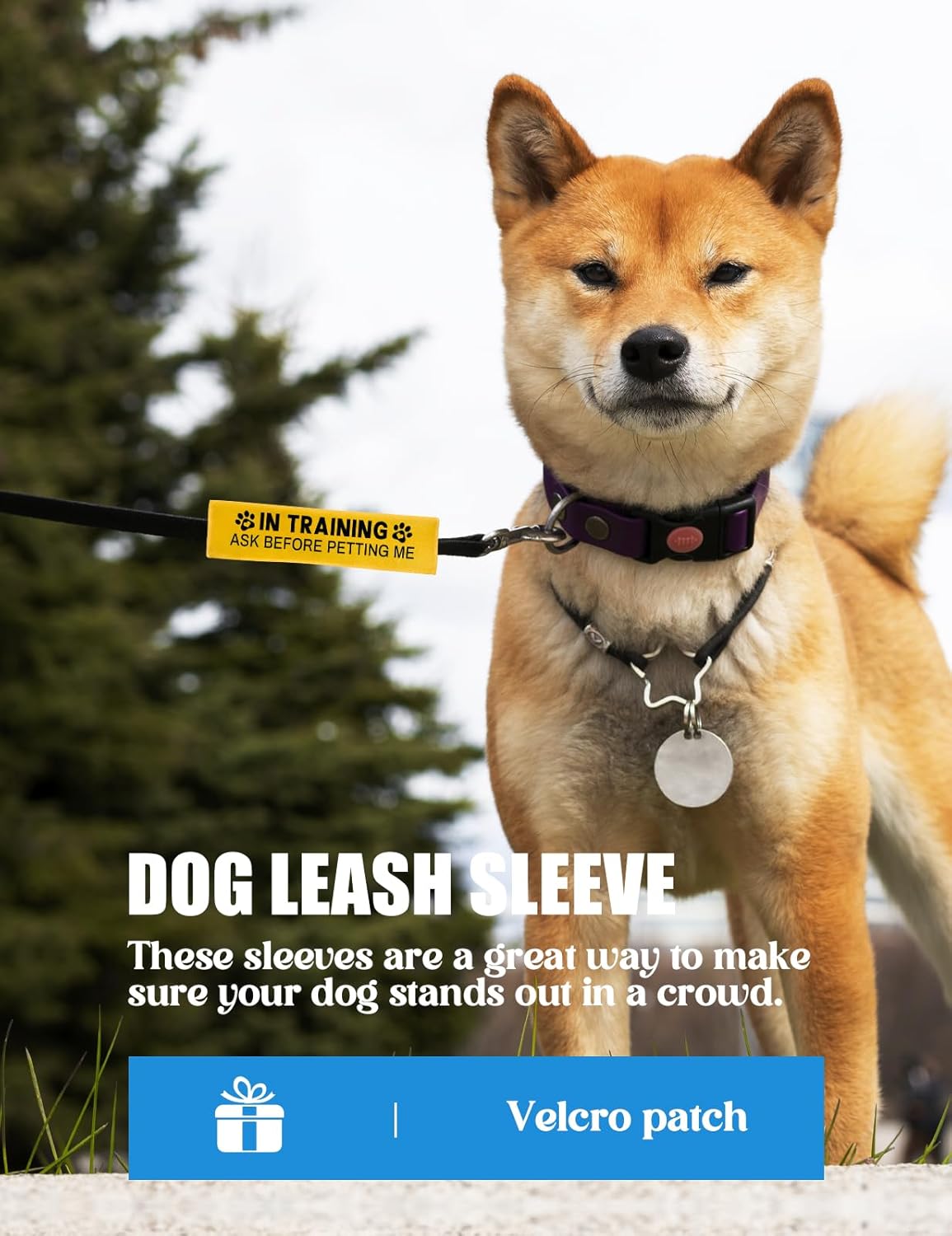 in Training Ask Before Petting Dog Leash Sleeve, Funny Yellow Dog Leash Wrap Alert Hanging ID Patch Tag, in Training Leash Wrap Service Dog Leash Wrap Pet Birthday Gifts for Dog Owners