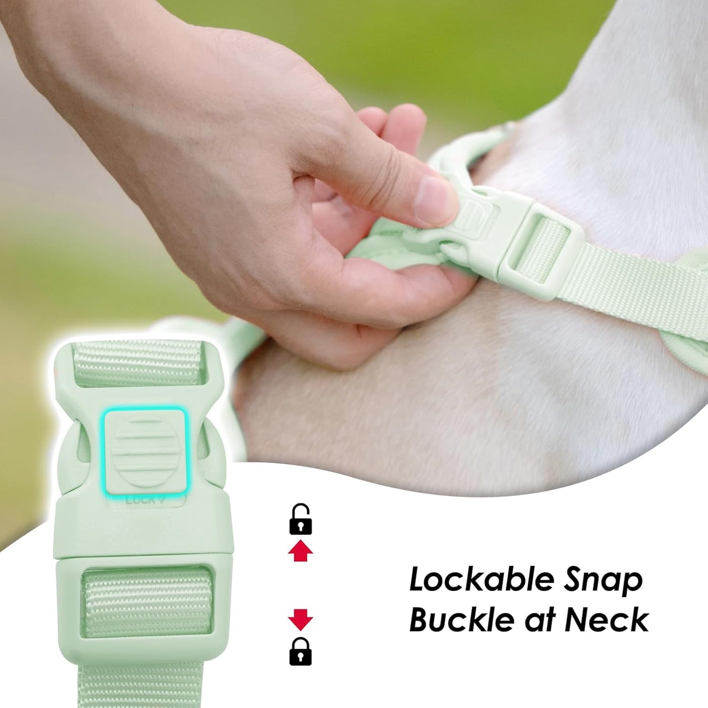 No Pull Dog Harness, Puppy Vest with Front Clip for Small Medium Large Sized Dog(Light Green,L)