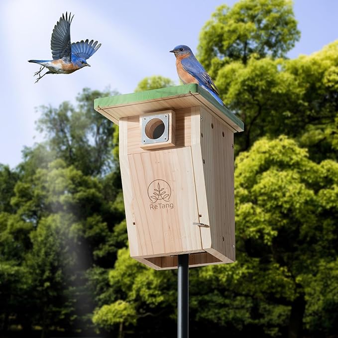 3/4 inch Thick Cedar Bird Houses with Metal Predator Guard, Nesting Box Birdhouse for Easy Cleaning, Wooden Bluebird Houses for Outside, Outdoor Wild Bird Watching, Swallow Wren Chickadee…