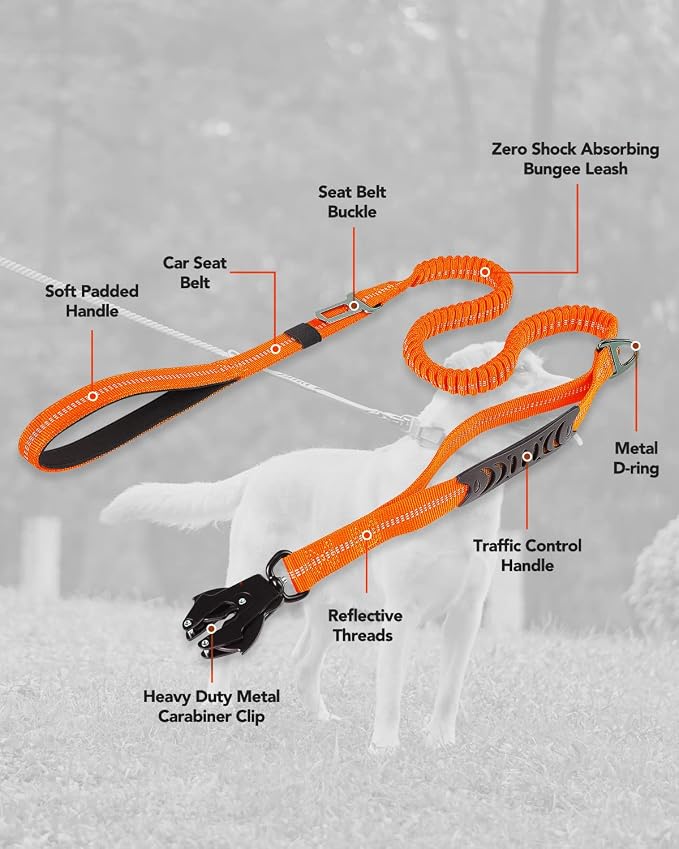 Joytale Tactical Bungee Dog Leash, Shock Absorbing No Pull, Orange | for Large Dogs That Pull, 2 Padded Handles for Control, Car Seatbelt Clip, Reflective for Night Safety, Metal Frog Clip