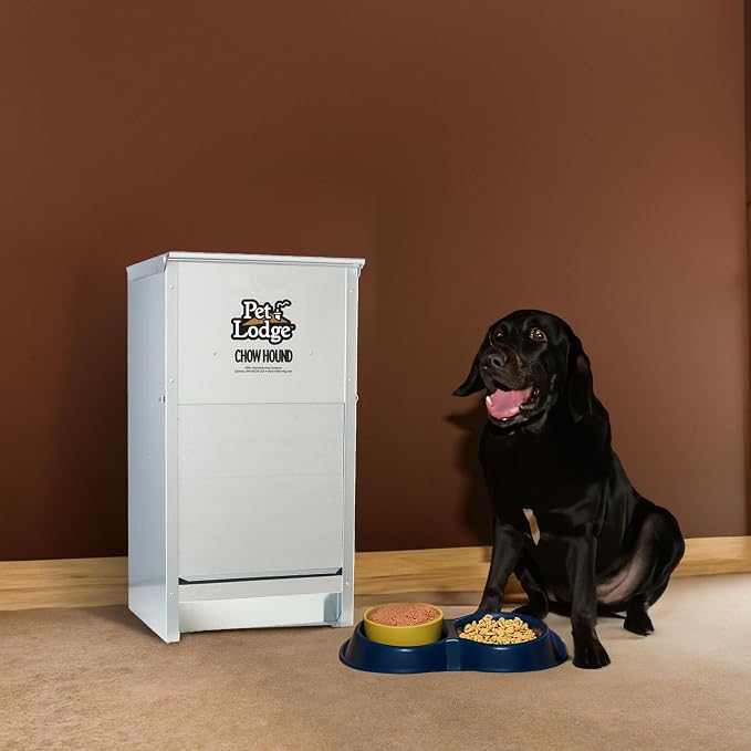 Little Giant Chow Hound Heavy Gauge, 25 Pound Capacity, Silver, Pack of 2 | Steel Indoor and Outdoor Dry Food Automatic Dog Feeder