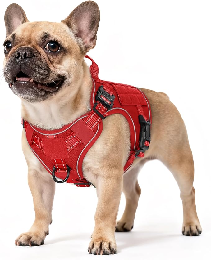 rabbitgoo Tactical Dog Harness for Small, Heavy Duty Military No Pull Vest | Sturdy Metal Buckles, 5 Adjustments, Molle System, Powerful Pullers for Training, Hunting, Outdoor, Red Reflex, Small