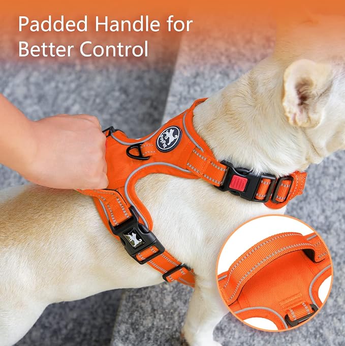 PoyPet No Pull Dog Harness, Reflective Vest with 2 Leash Clips & Handle | Lockable Neck Release Buckle, No Choke, Adjustable, Soft Padded, for Walking Training, Orange Matching Trim, X-Large