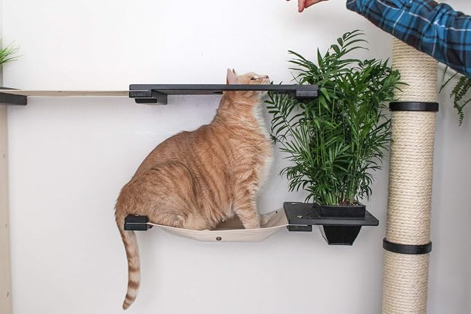 CatastrophiCreations Mini Garden - Multiple-Level Cat Hammock & Climbing Activity Center - Wall-Mounted Cat Tree Shelves, Onyx Bamboo/Natural Canvas, MGD11ONNT