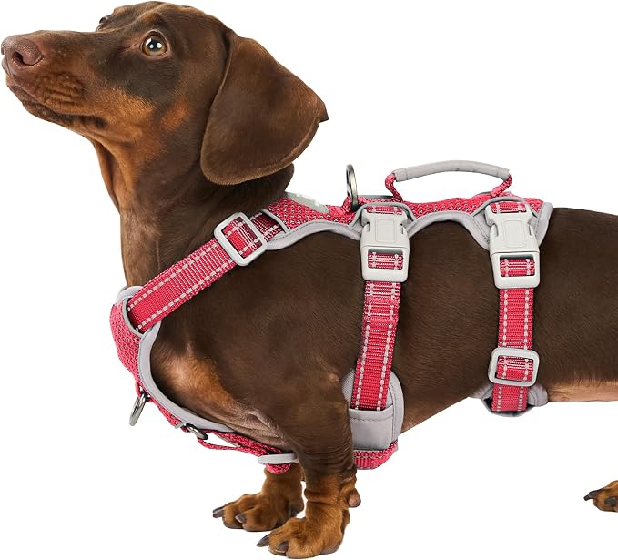 No Escape Dog Harness, Escape Proof Harness, Fully Reflective Harness with Padded Handle, Breathable, Durable, Adjustable Vest for Small Dogs Walking,Training,and Running Gear(Red,S)