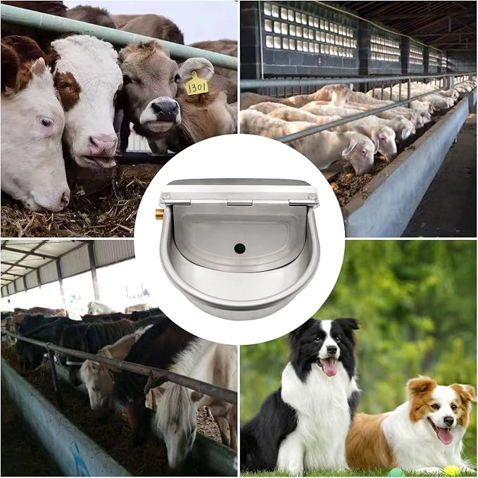 Automatic Dog Water Dispenser Outdoor Large Breed Self Filling Water Bowl | Heavy Duty Brass Float Valve Control, Wall Mount, For Poultry Chicken Duck Goat Sheep Horse Cattle Livestock, Bakcyard Farm