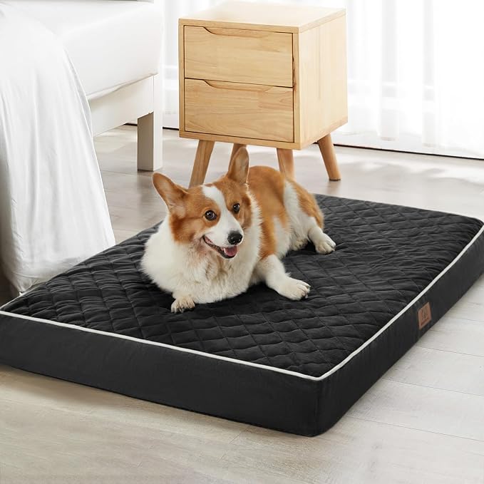WNPETHOME Orthopedic XXL Dog Beds for Large Senior Dog Bed Comfy Sleeping | XXL Washable Waterproof Dogs Bed with Removable Cover, Multi-Needle Quilting Dogs Crate Bed for Relax , Black 55x42 Inch